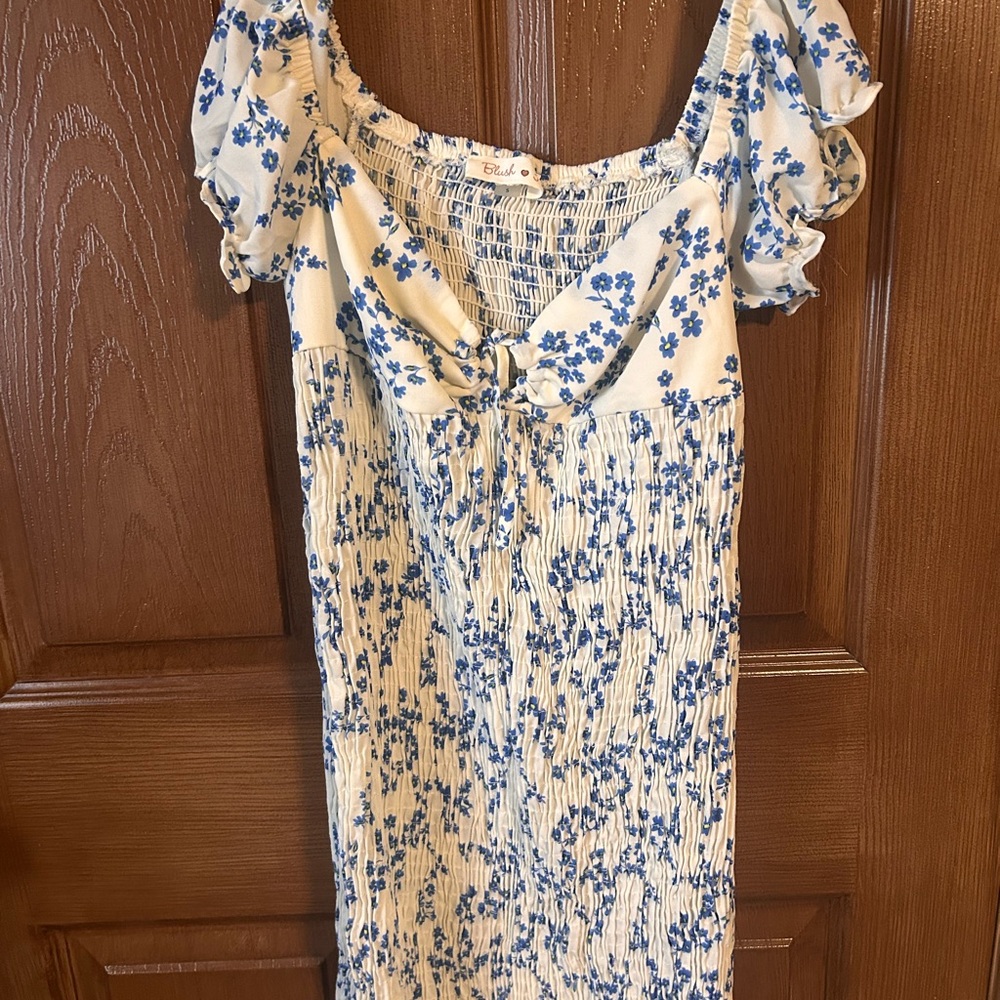 Blue Floral Dress with Ruffled Sleeves